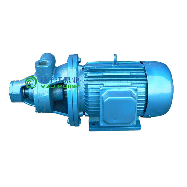 1W型單級漩渦泵